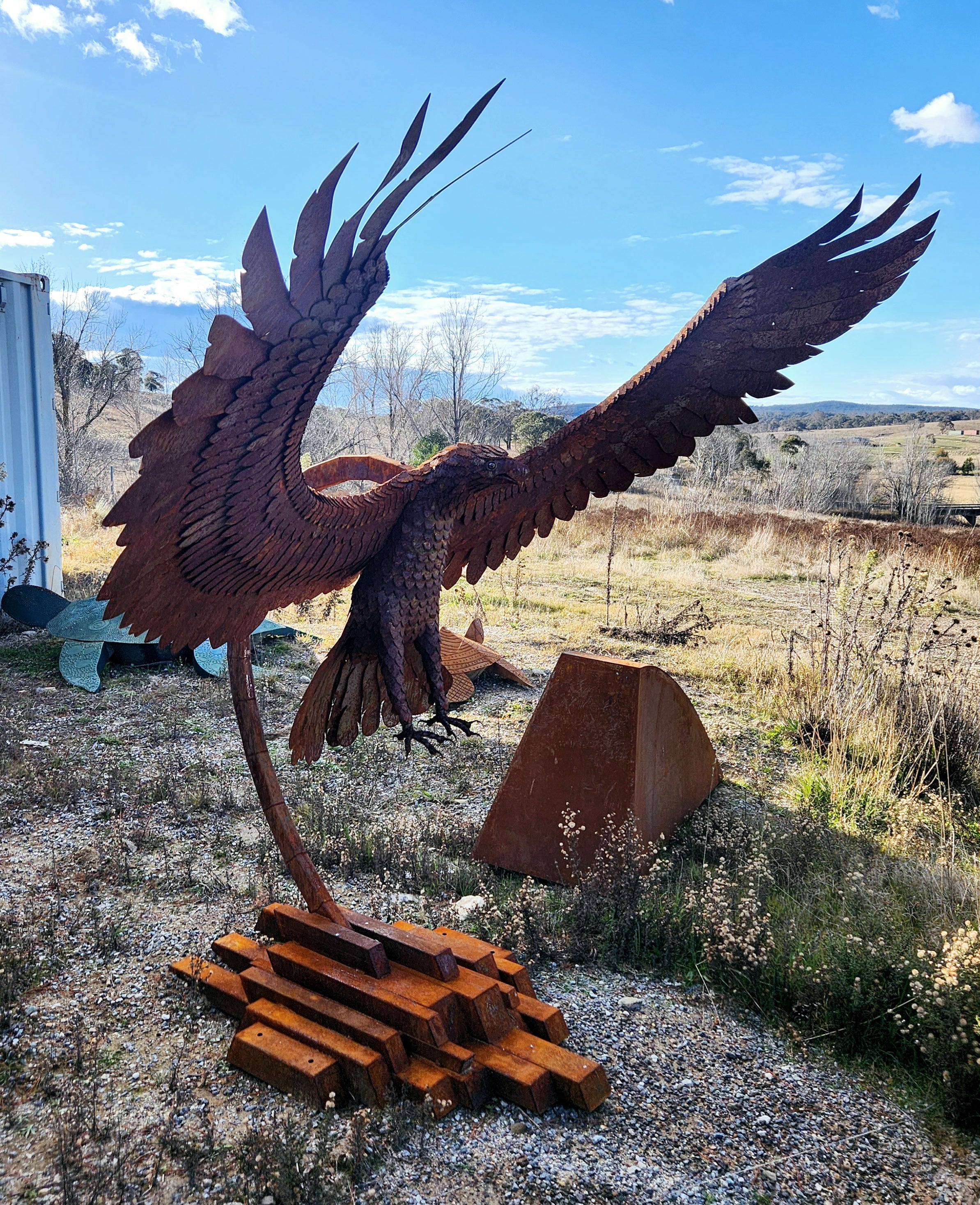'Eagle'  | 260x175x100cm