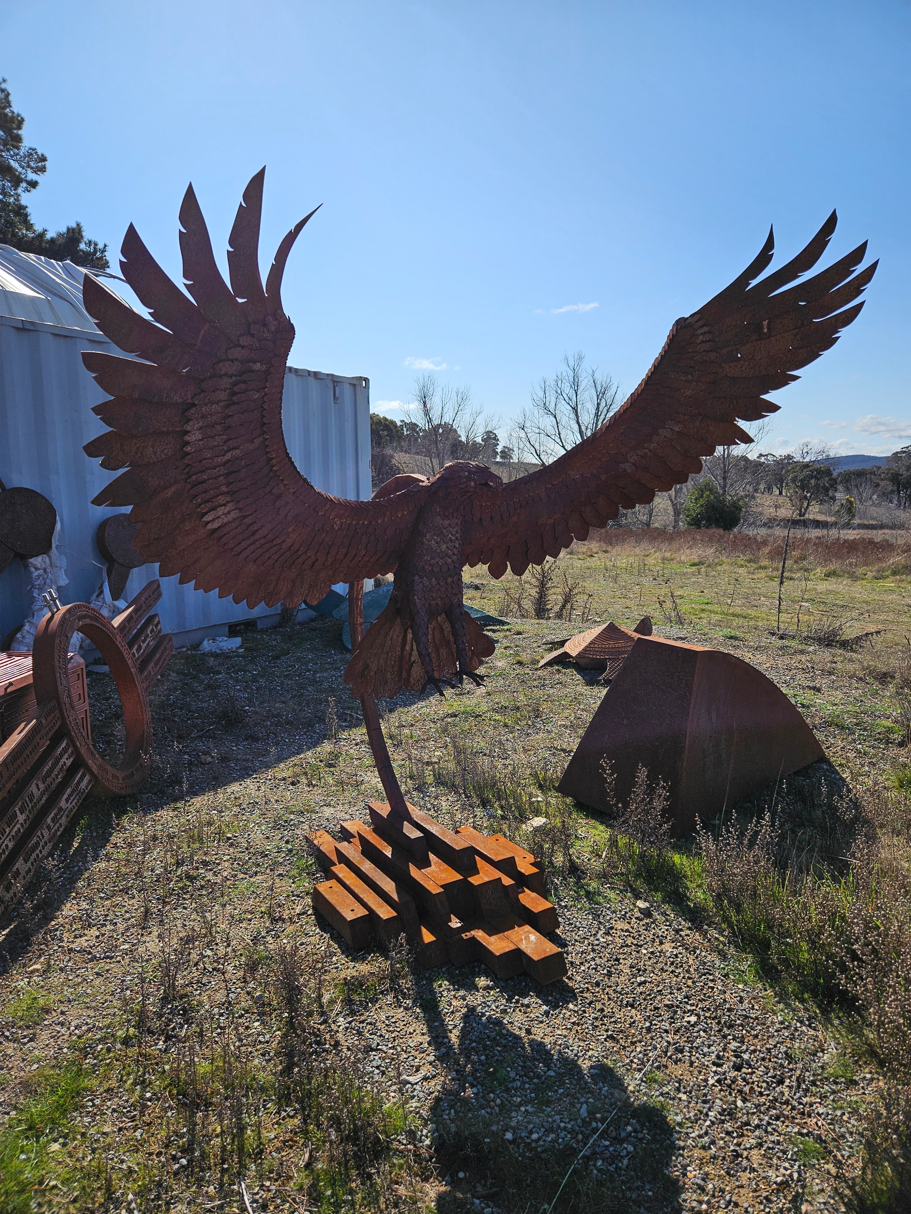 'Eagle'  | 260x175x100cm