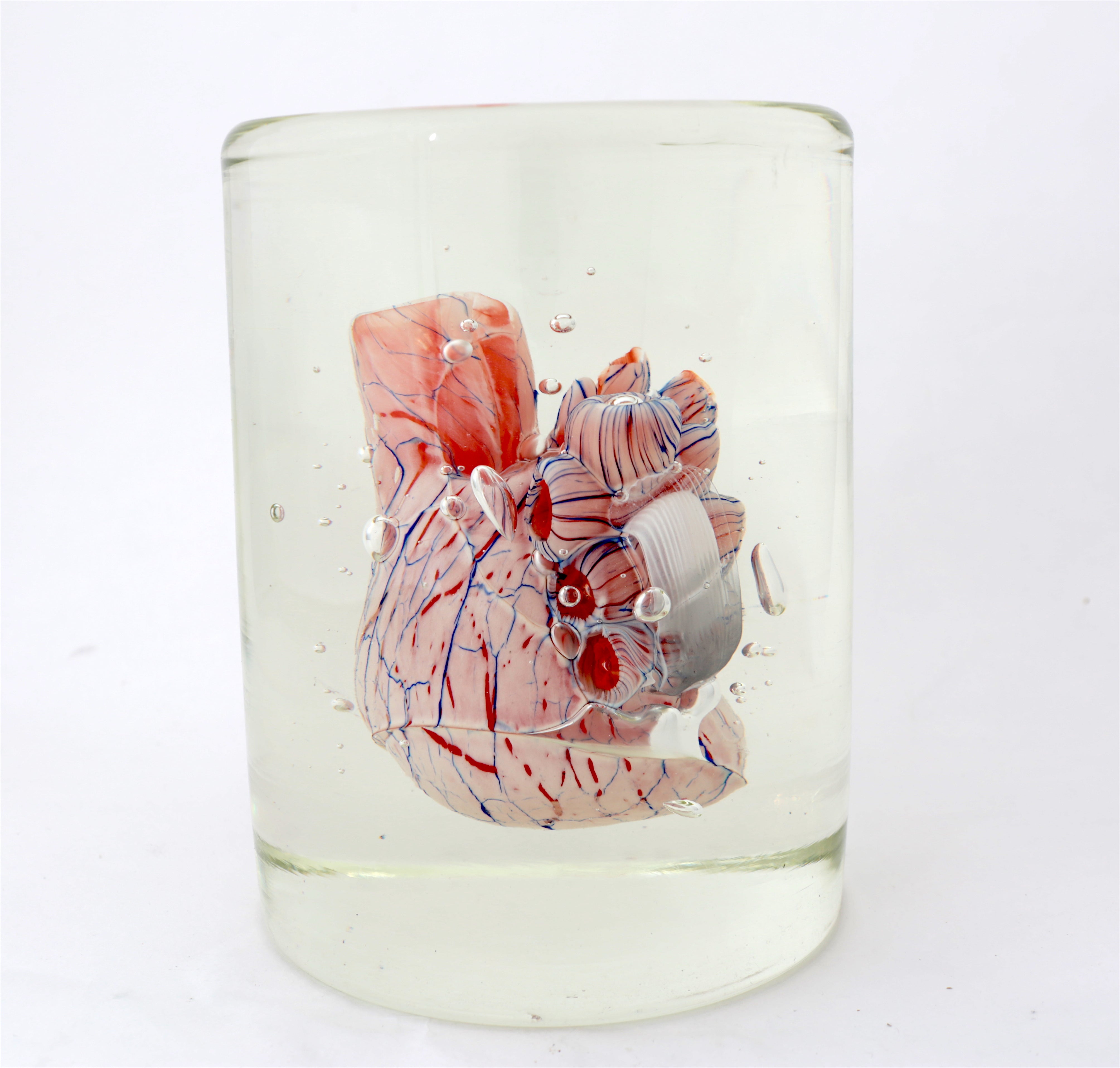 'Cardiology' | 20x14.5x14.5cm