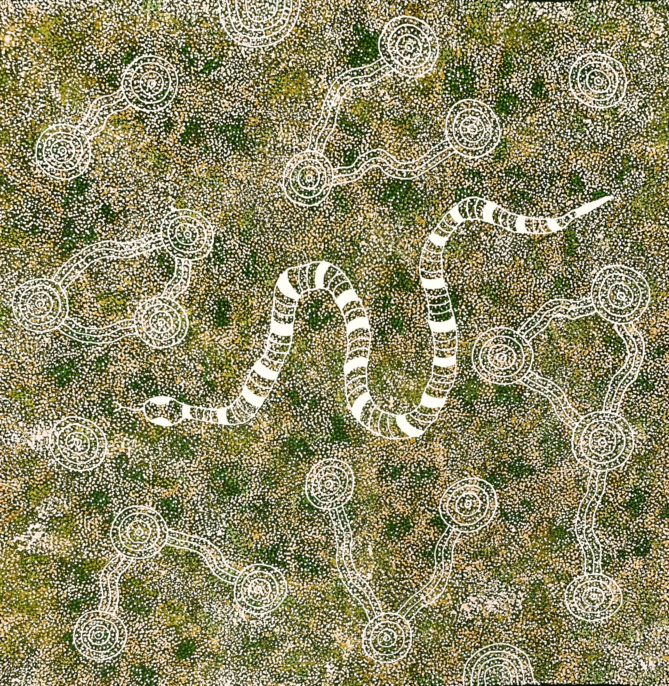 'Snake' | 100x99cm