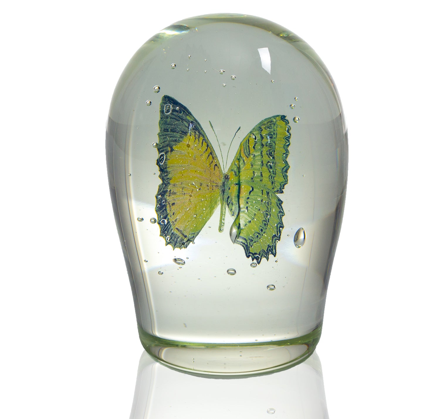 'Lepidoptera I' | 18x11x11cm